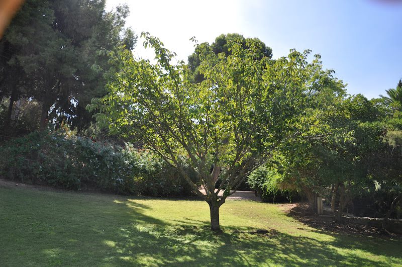 Yoga al Parco - Cagliari
